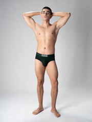 Modal Olive Brief